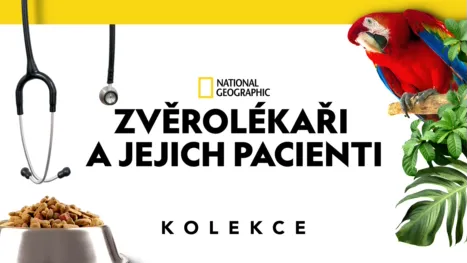 thumbnail - Zvěrolékaři a jejich pacienti