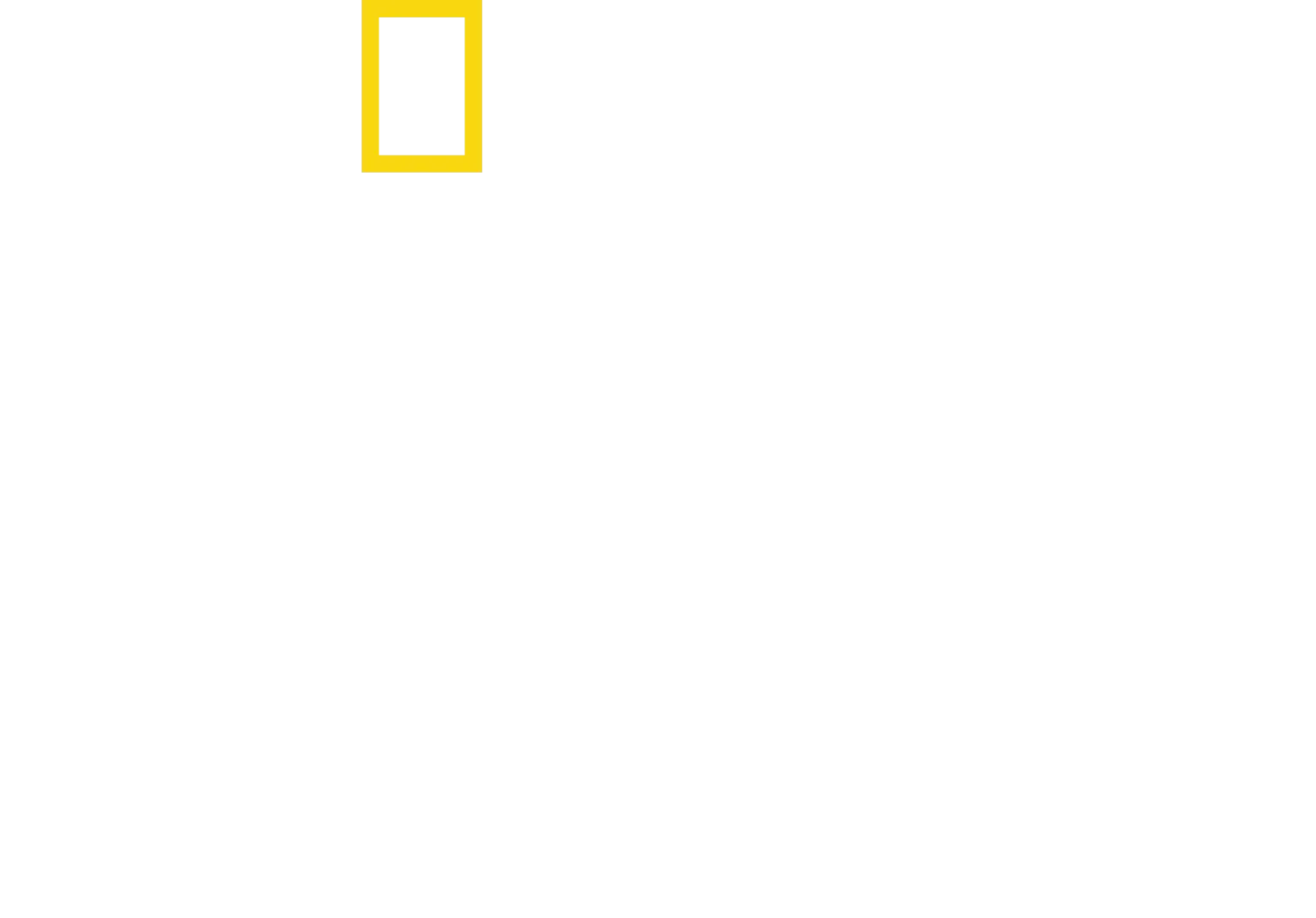 Tráfico ilegal con Mariana van Zeller