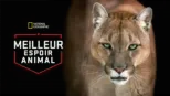thumbnail - Meilleur espoir animal