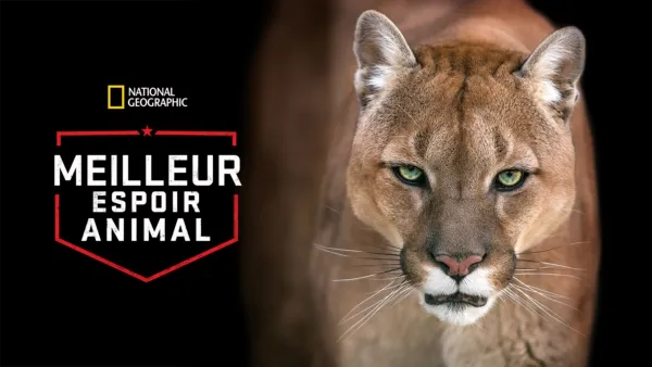 thumbnail - Meilleur espoir animal