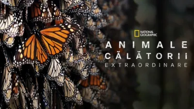 Călătoriile incredibile ale animalelor