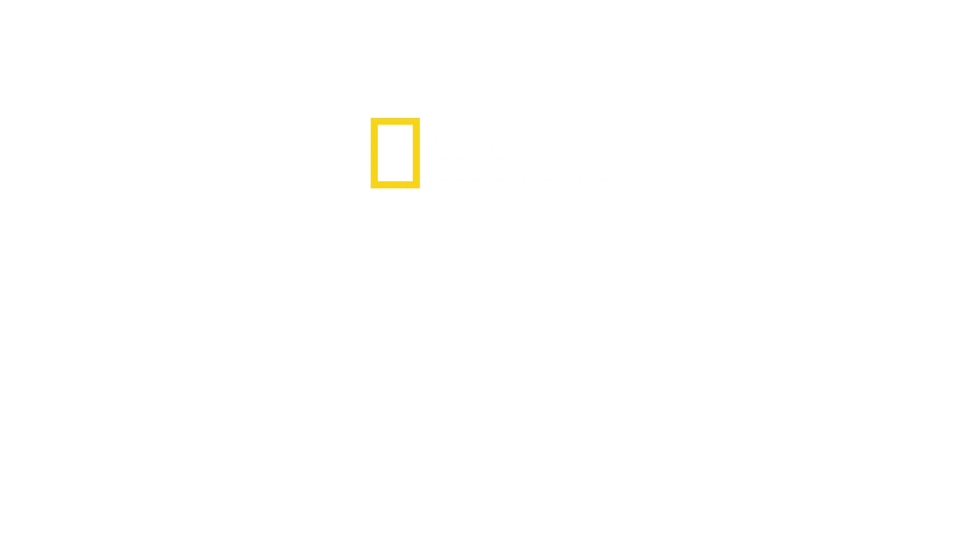 Santuario de chimpancés