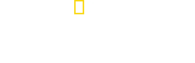Santuario de chimpancés