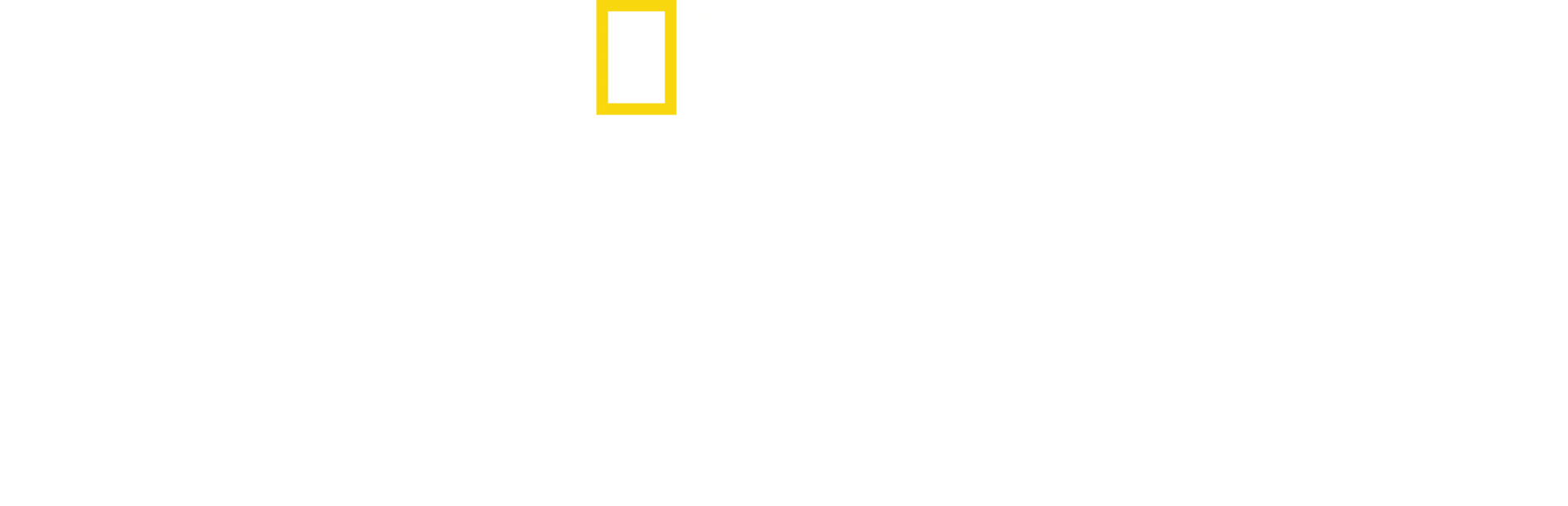 Santuario de chimpancés