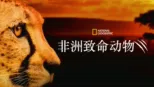 thumbnail - 非洲致命动物