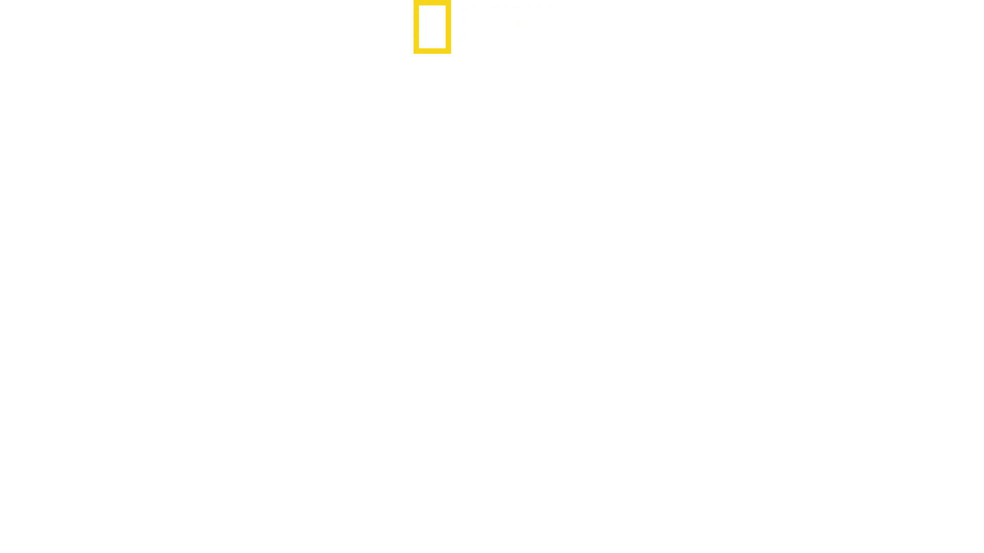 Positive Energy