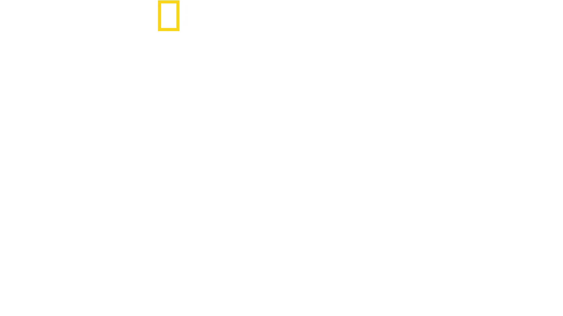 Eyewitness: D-Day