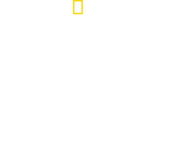 Eyewitness: D-Day