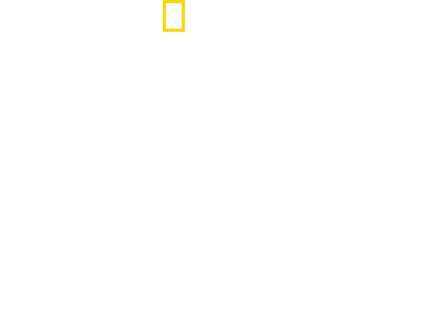 Eyewitness: D-Day