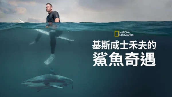 thumbnail - 基斯咸士禾夫的鯊魚奇遇