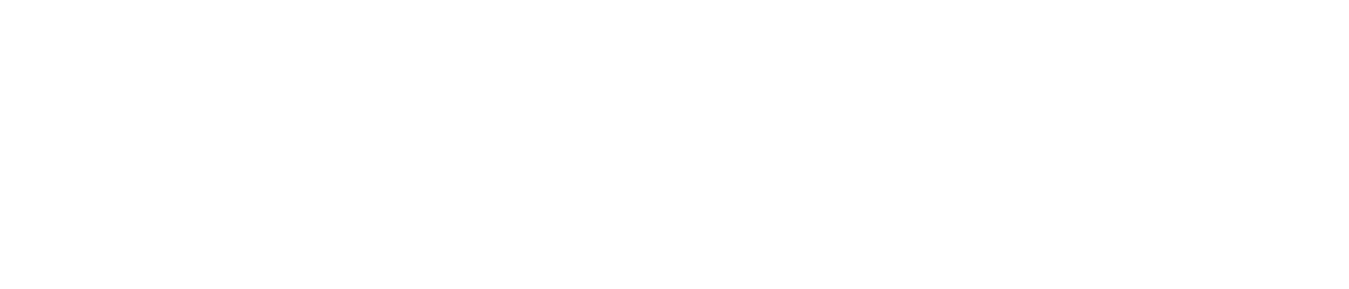 私たちの人生レース