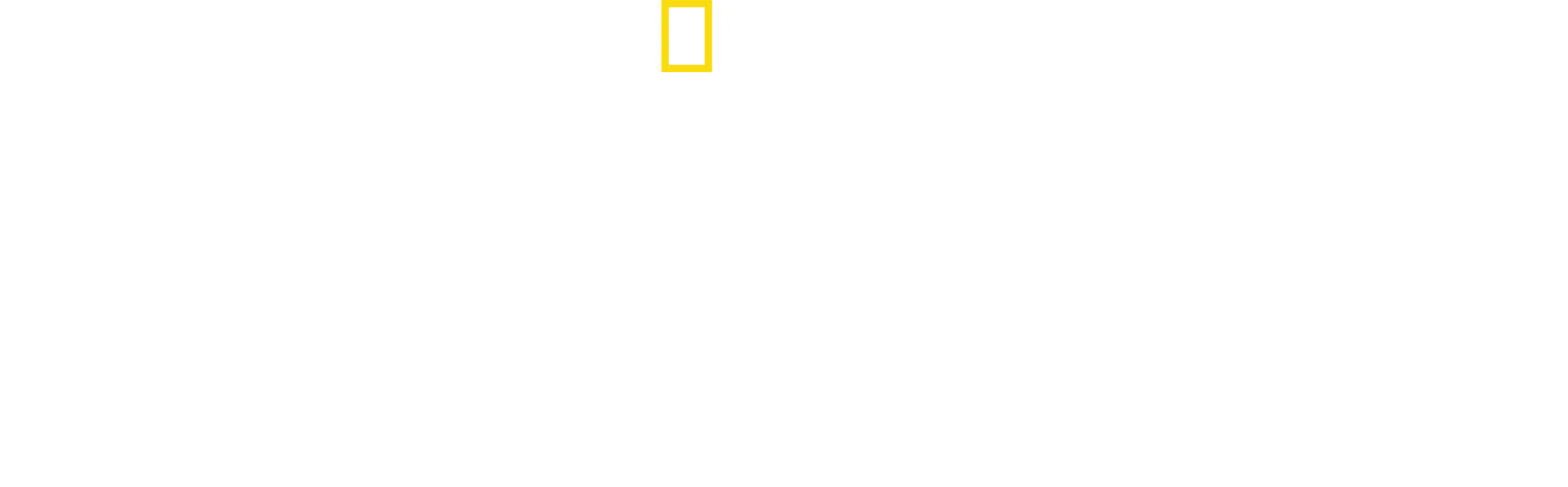 Πλανήτης των Πτηνών
