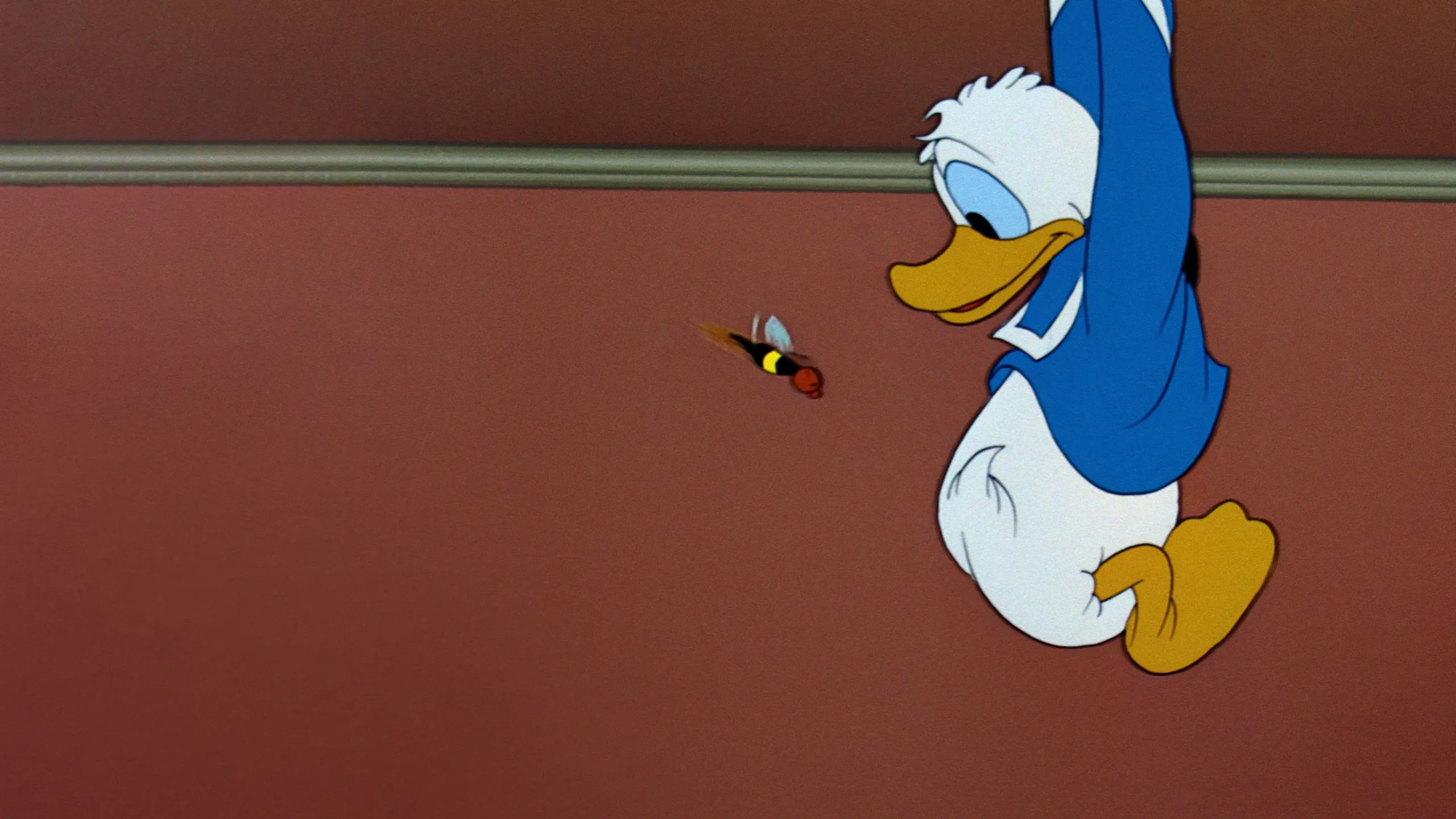 Decorador de interiores