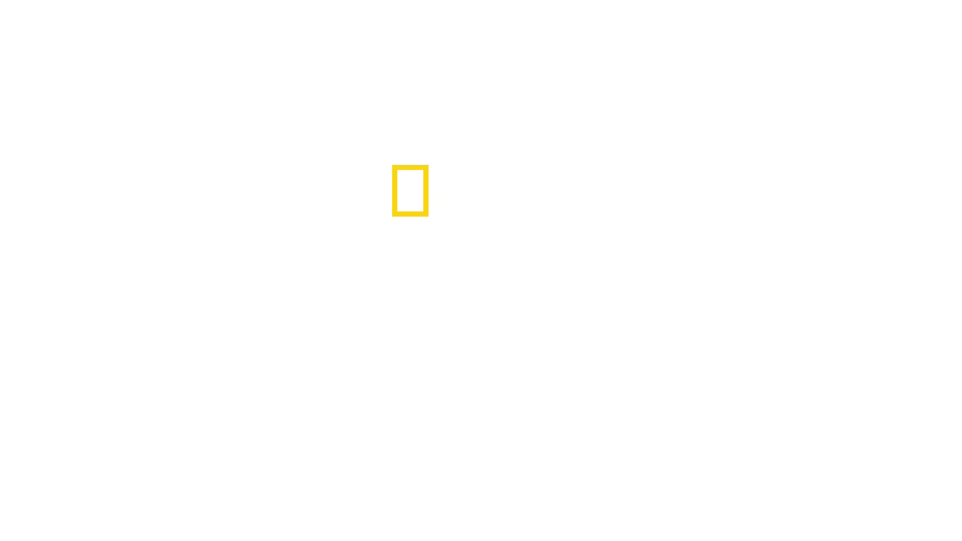 Tiburones de Norteamérica