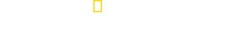 Tiburones de Norteamérica