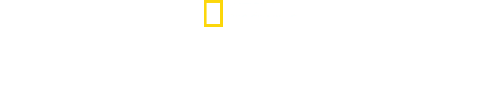 Tiburones de Norteamérica