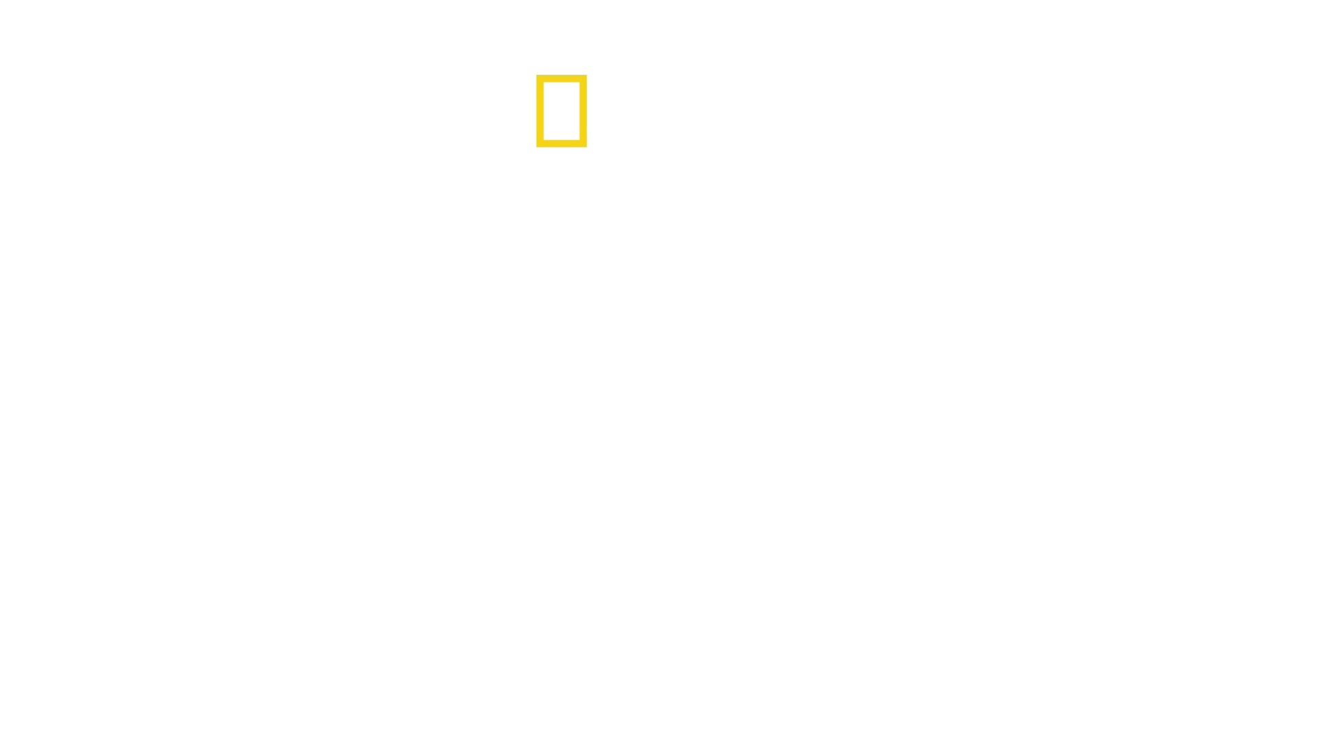 Wild Argentina