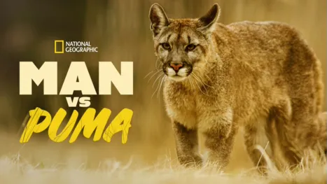 thumbnail - Man vs Puma