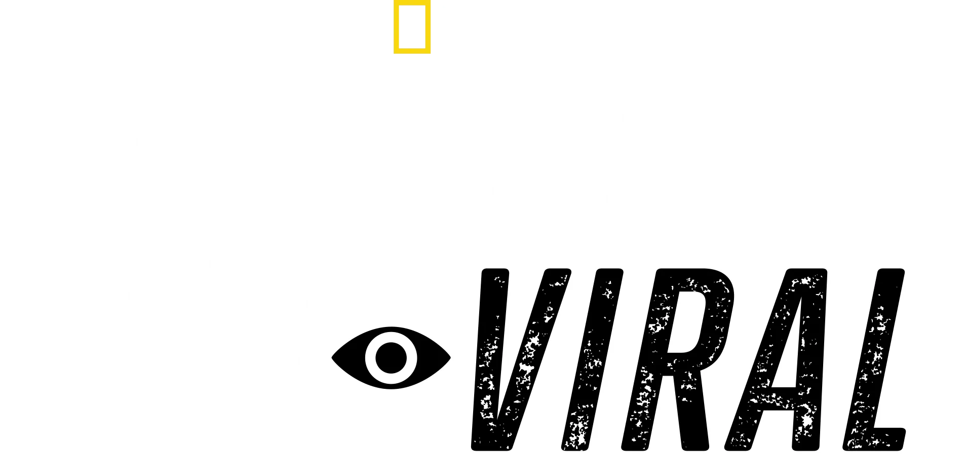 Sharks Gone Viral