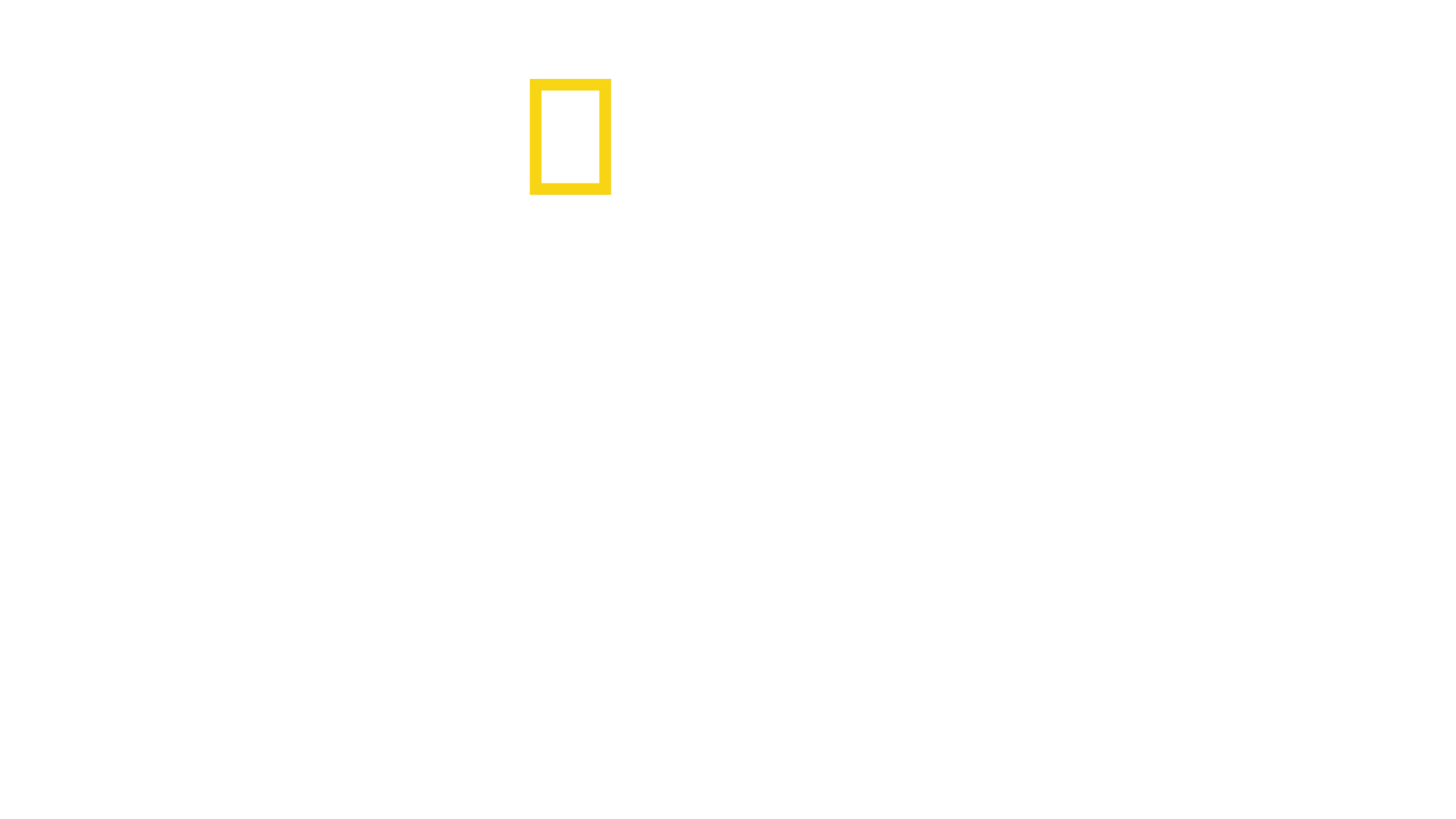 Schmugglern auf der Spur