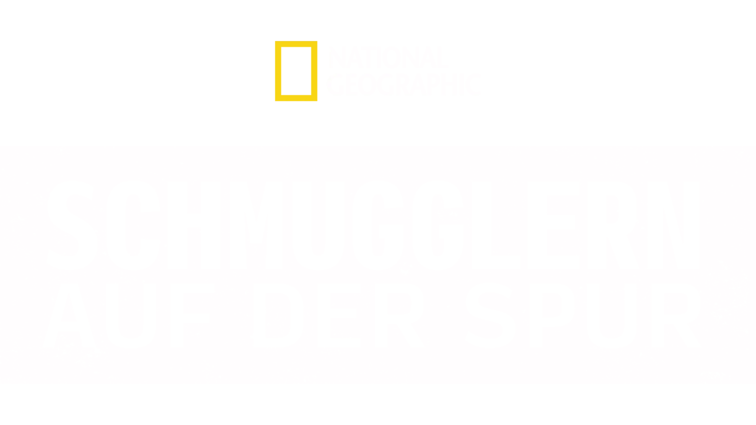 Schmugglern auf der Spur