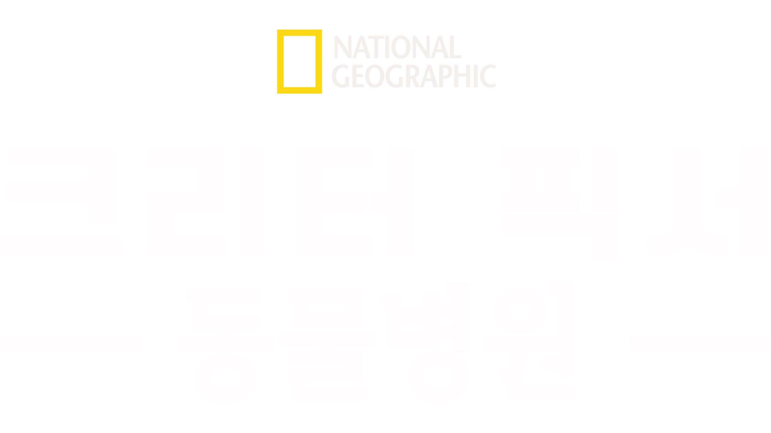 크리터 픽서 동물병원