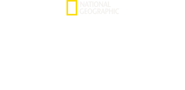 크리터 픽서 동물병원