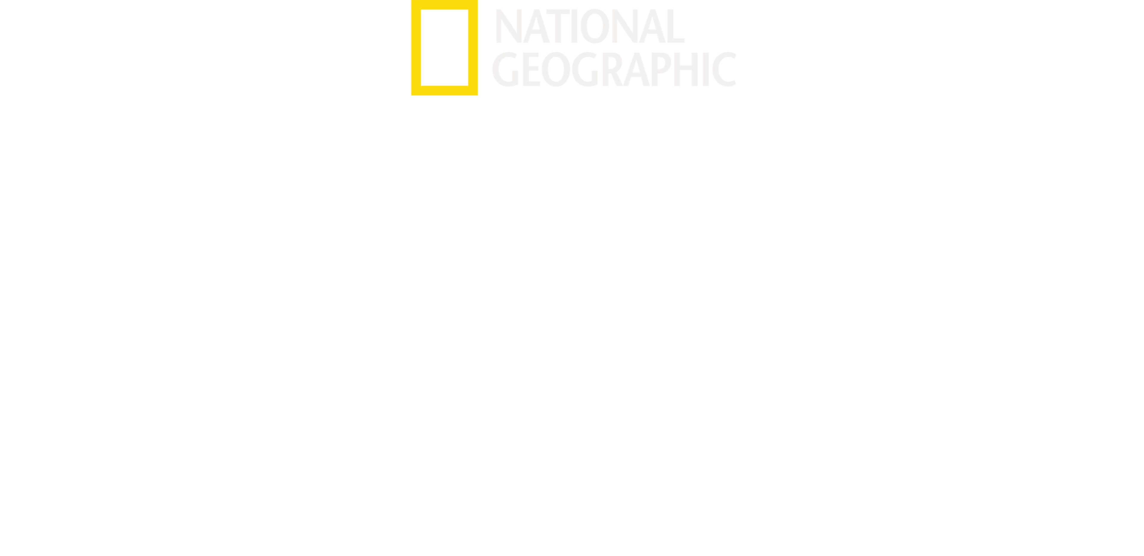 크리터 픽서 동물병원