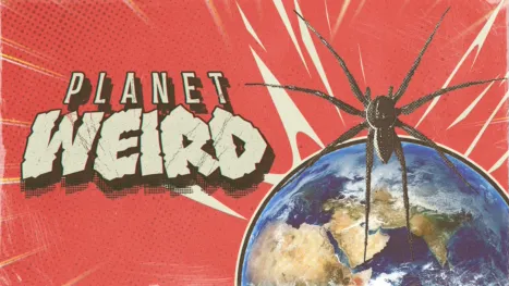thumbnail - Planeta extraño