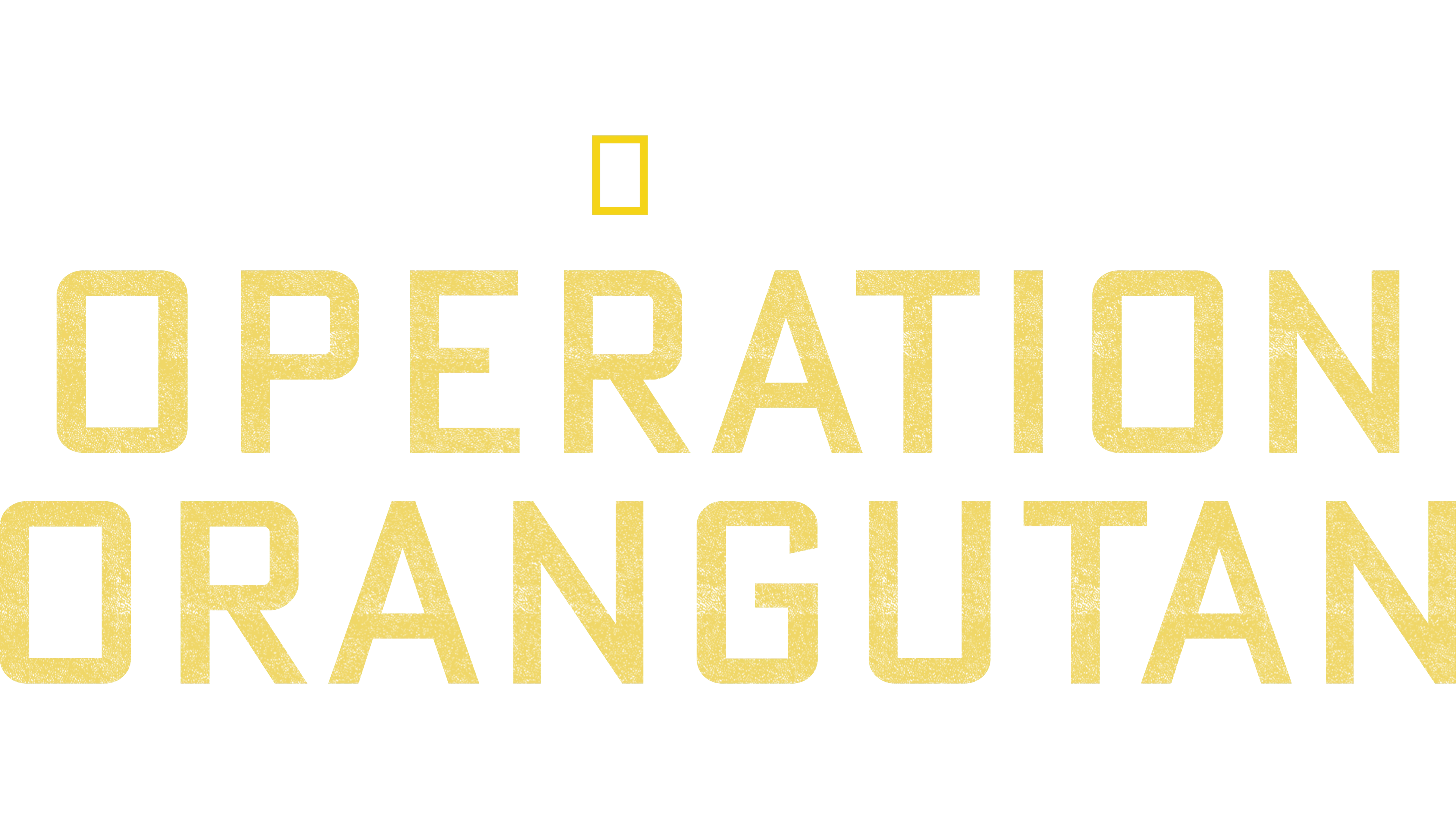 Operation Orangutan