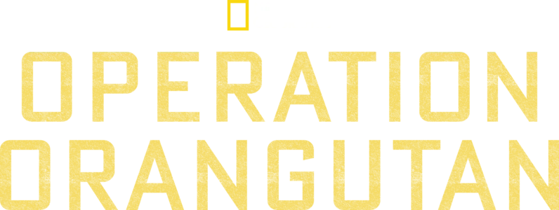 Operation Orangutan