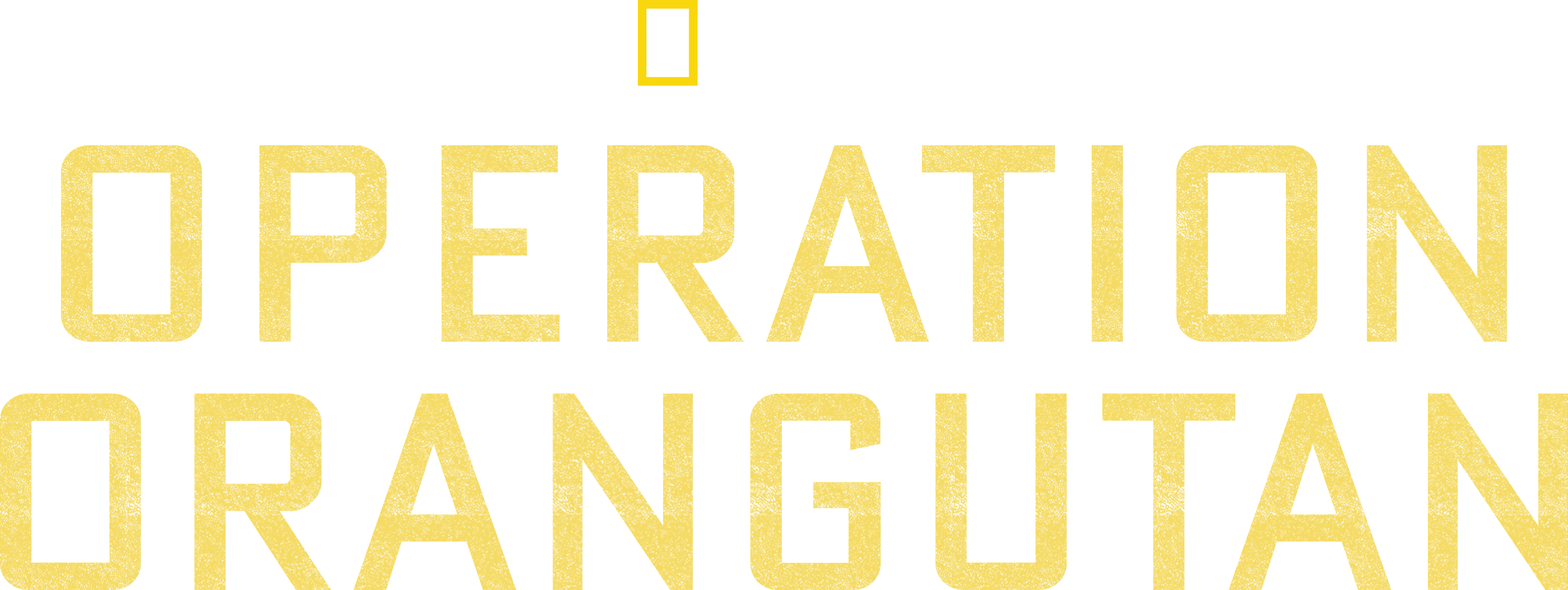 Operation Orangutan