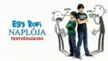 thumbnail - Egy ropi naplója: Testvérháború