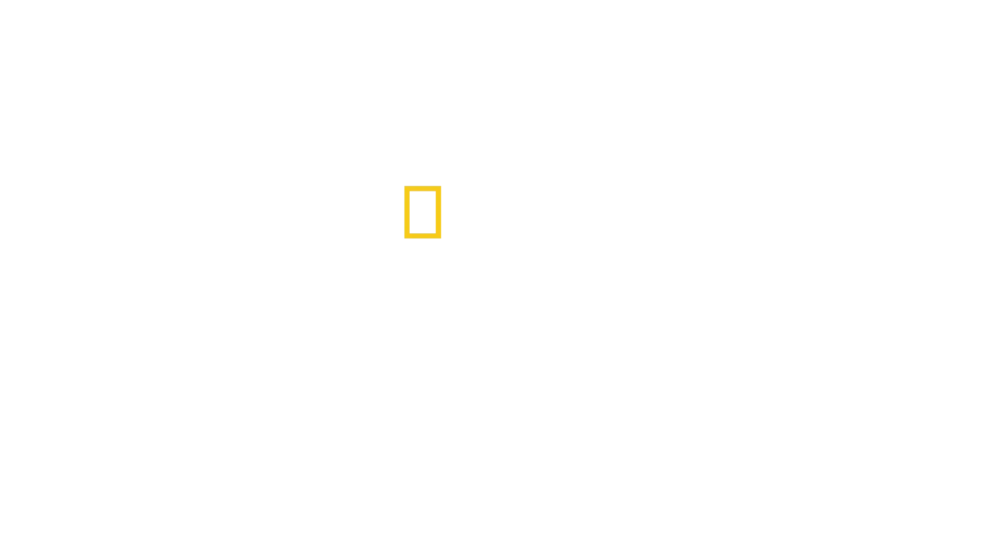テリトリー アマゾンの攻防