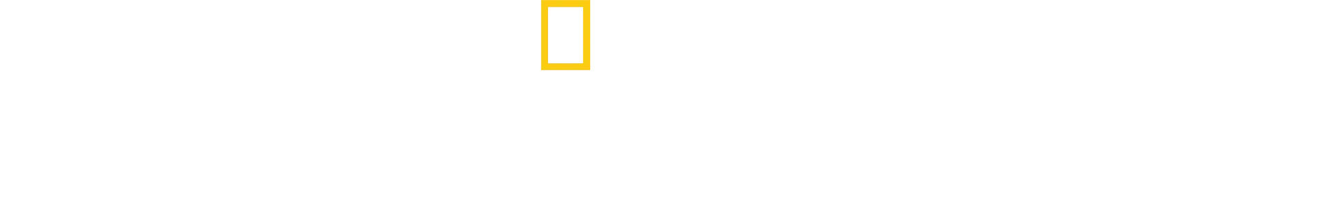 テリトリー アマゾンの攻防