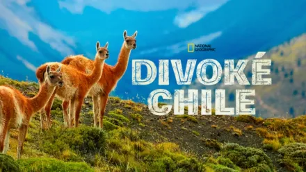 thumbnail - Divoké Chile