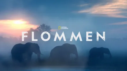thumbnail - Flommen