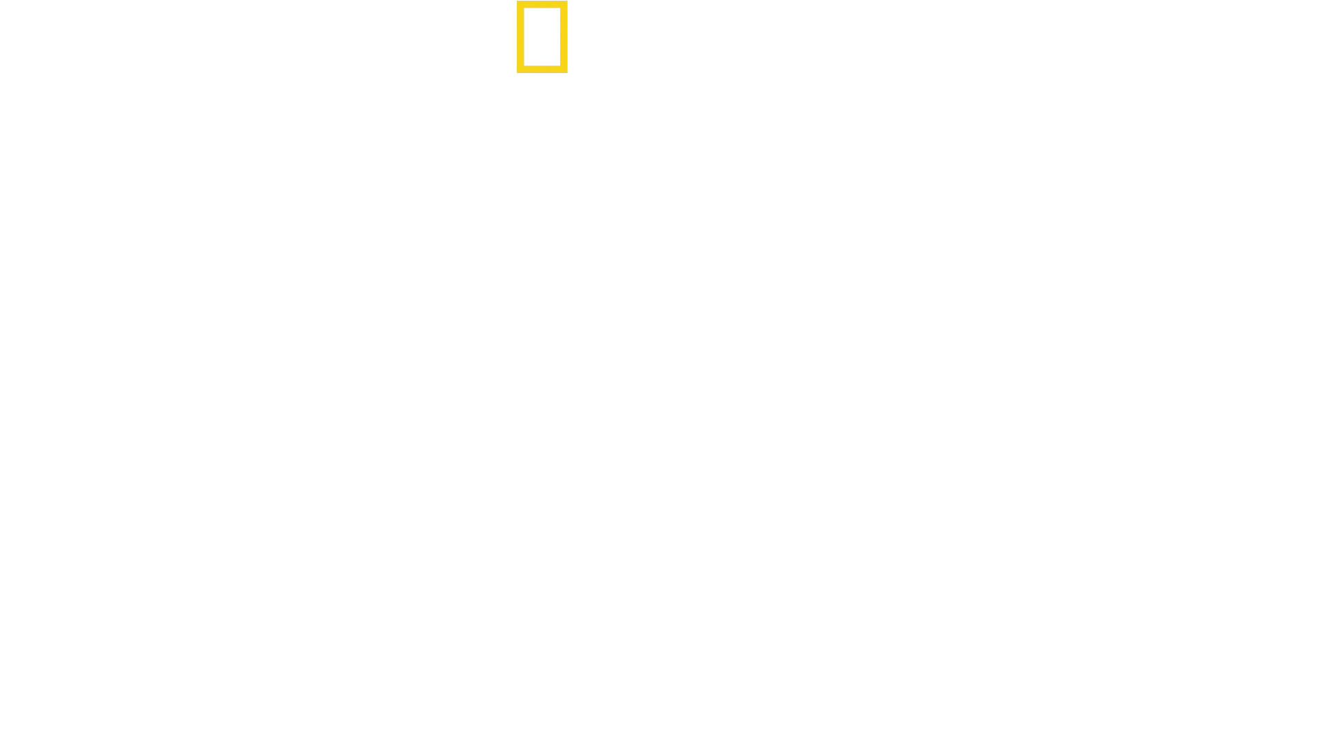 Secrets Of The Zoo