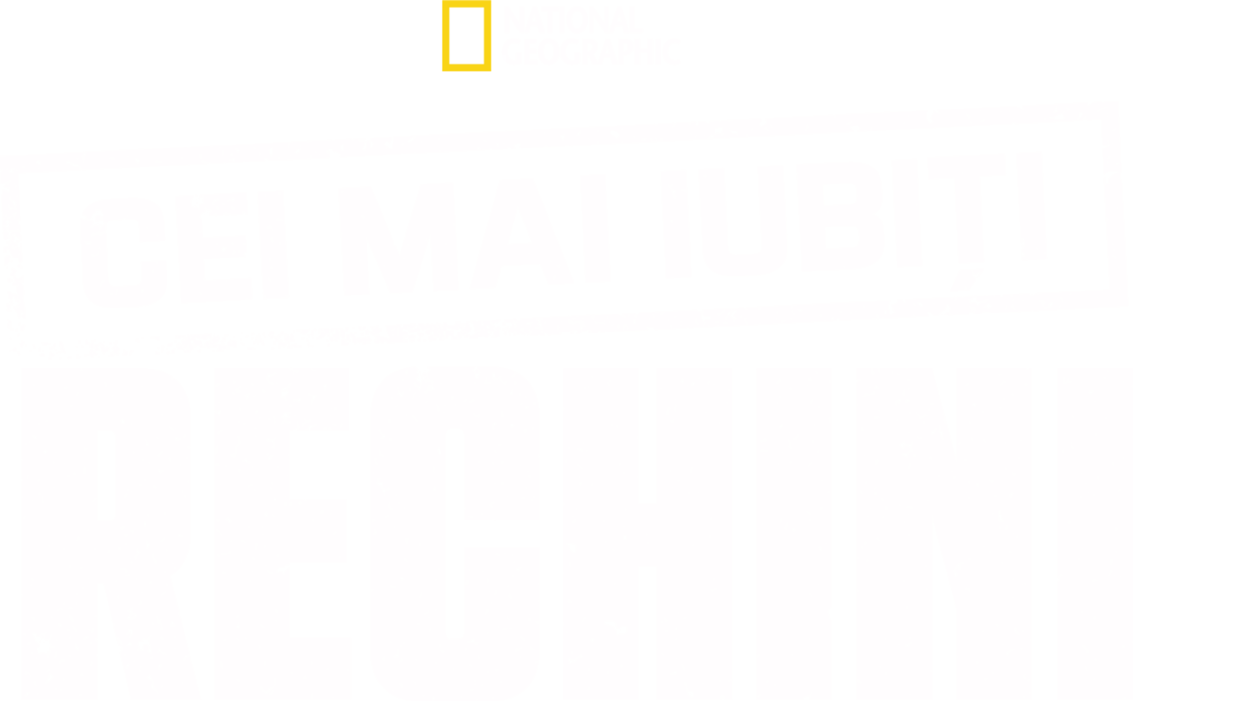 Cei mai iubiți rechini