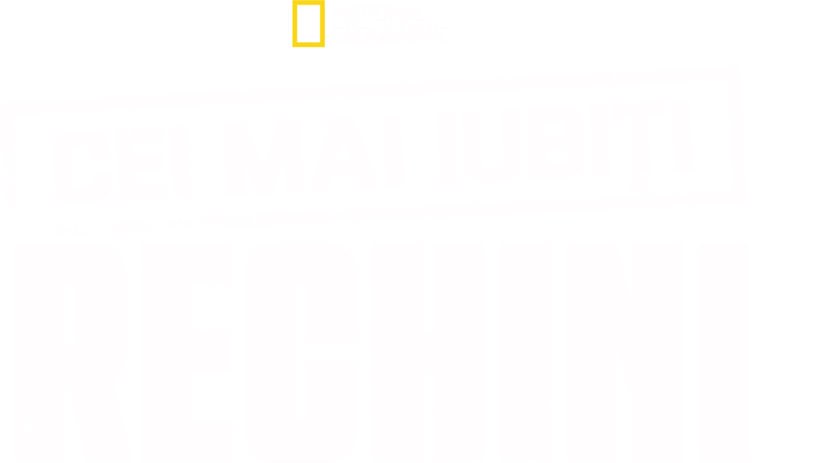 Cei mai iubiți rechini