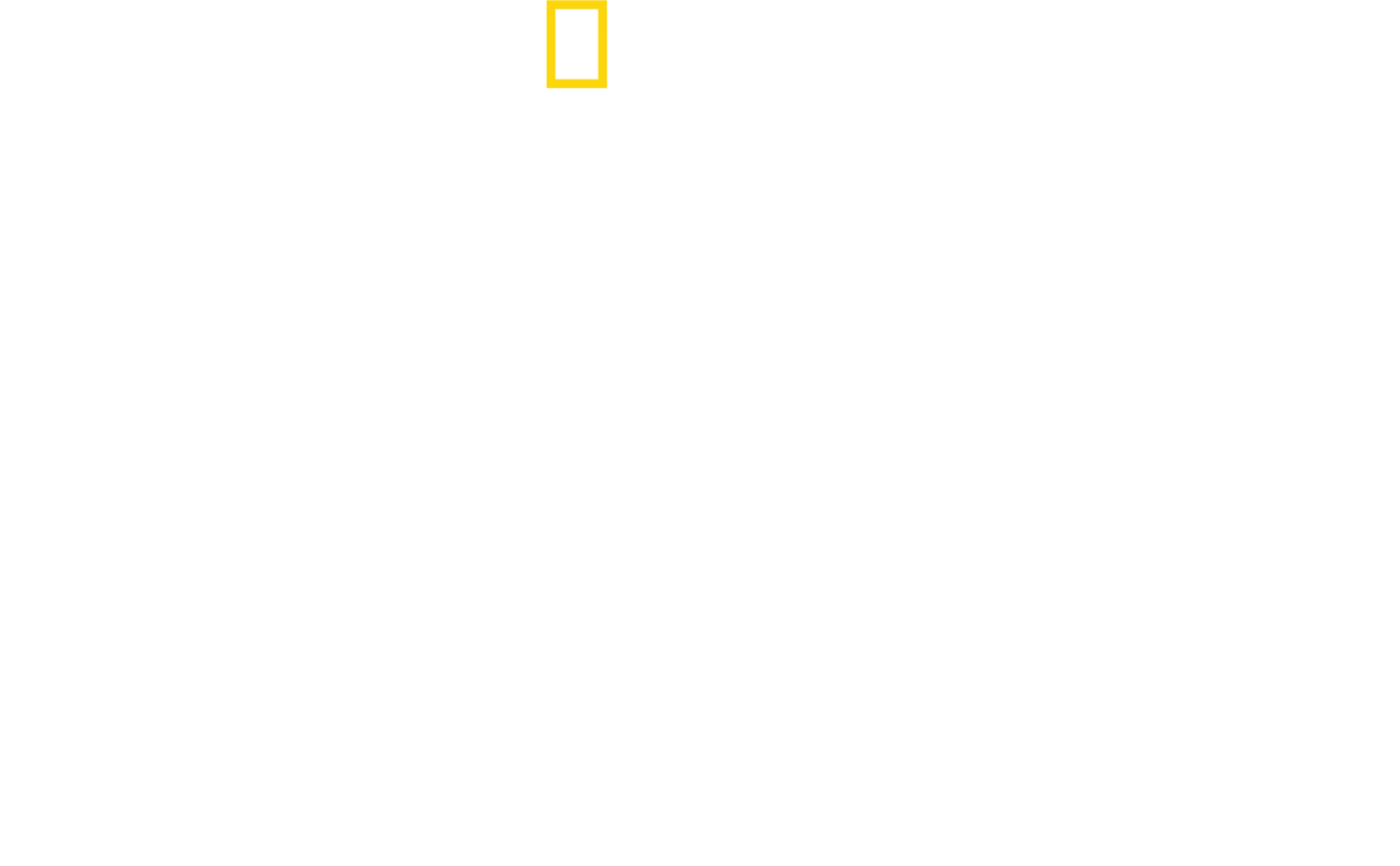Cei mai iubiți rechini