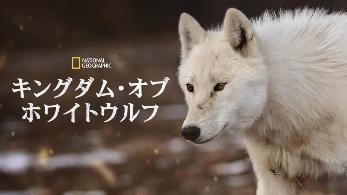 キングダム・オブ・ホワイトウルフを配信で見る | Disney+(ディズニー