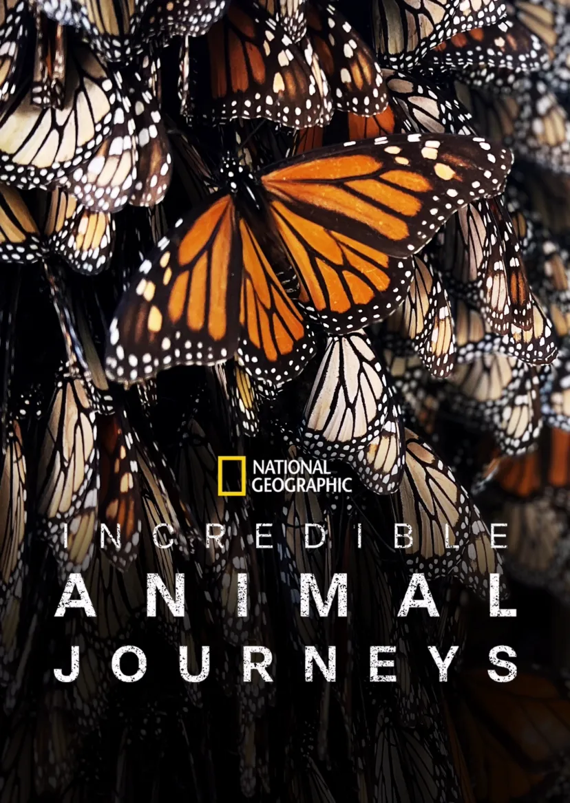 Incredible Animal Journeys