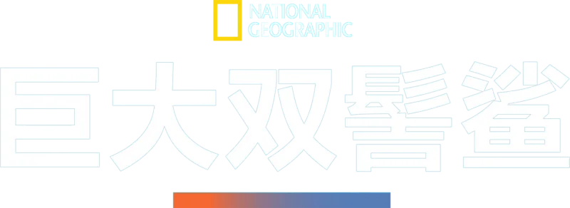 巨大双髻鲨
