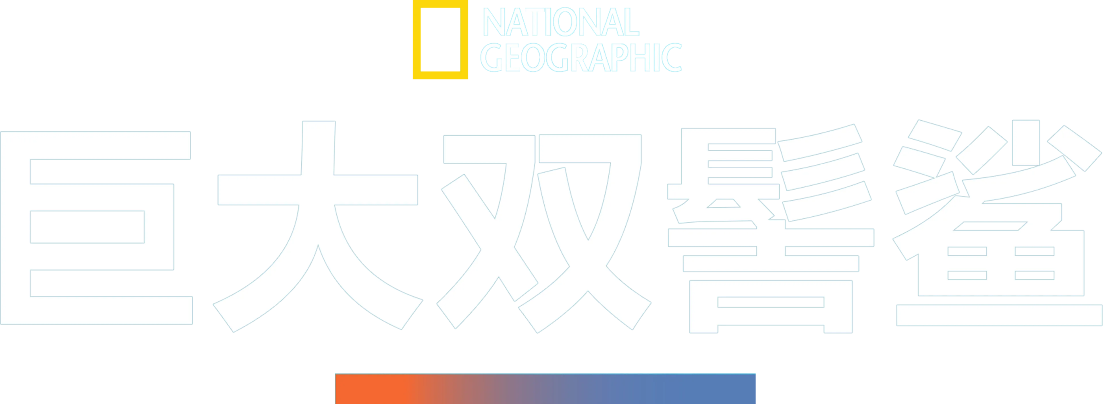 巨大双髻鲨