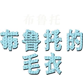 布鲁托的毛衣