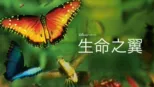 thumbnail - 生命之翼