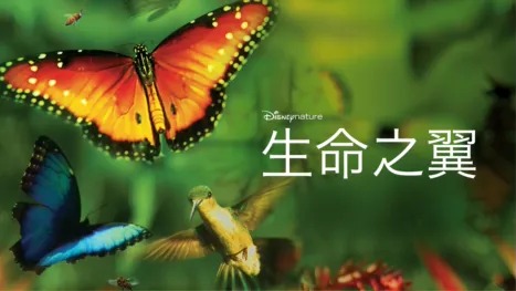 thumbnail - 生命之翼