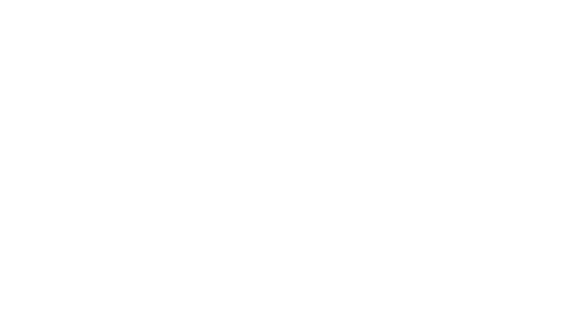迷网追凶