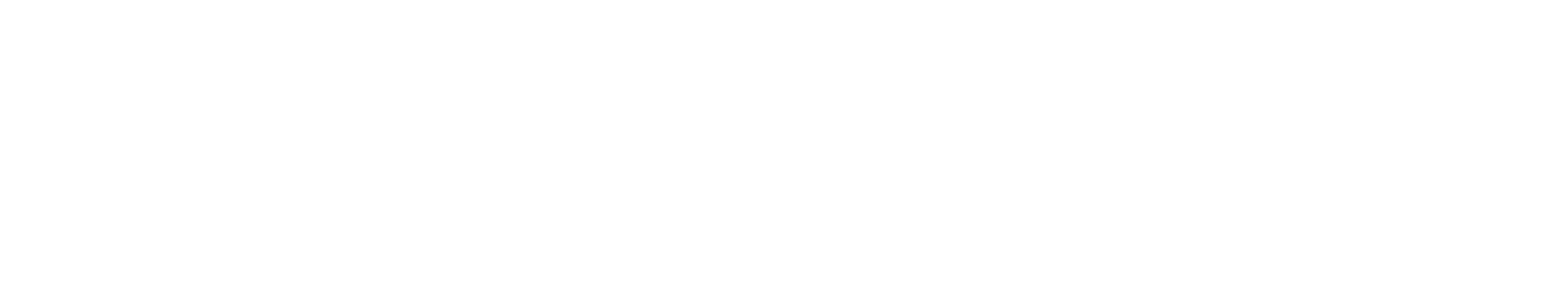 迷网追凶